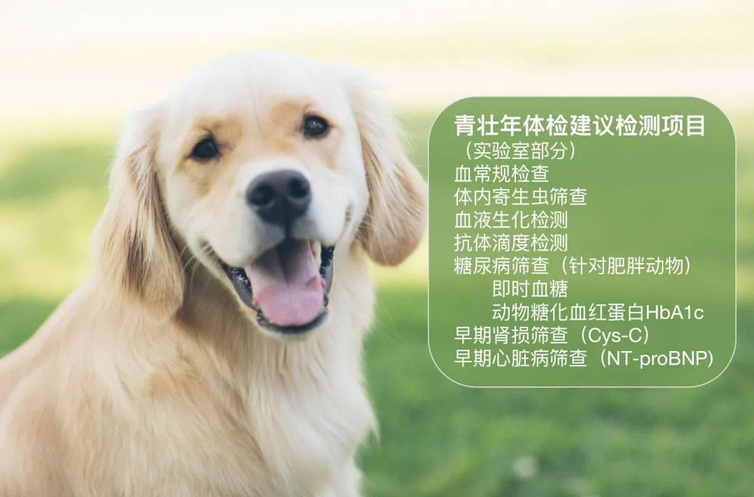 1736845138649704.png
