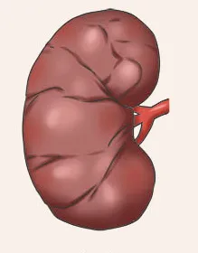 2025012401 (2).png