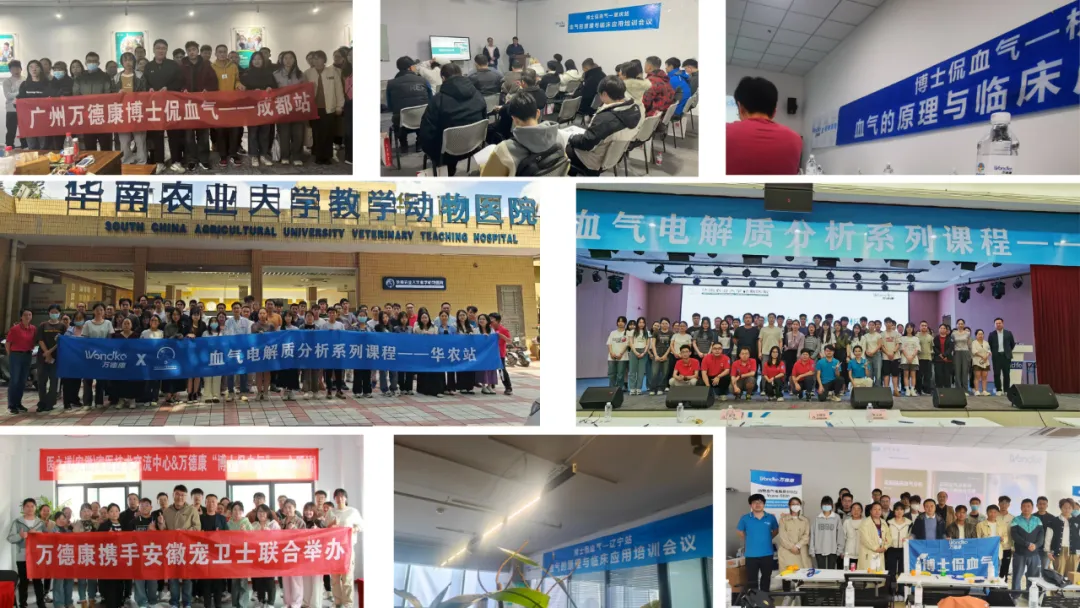 1741335421144466.png 1741335421144466.png